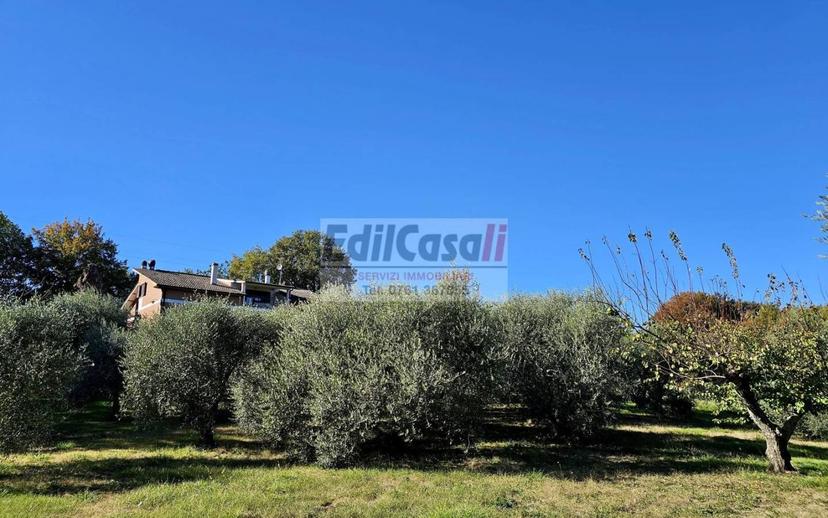 Villa plurifamiliare via Ortana, Bassano in Teverina — foto 40 di 40