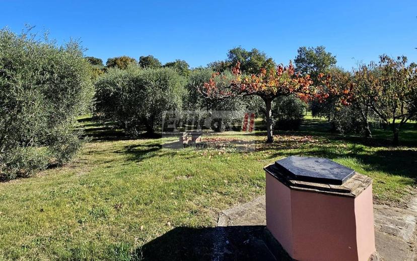 Villa plurifamiliare via Ortana, Bassano in Teverina