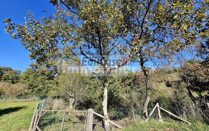 Villa plurifamiliare via Ortana, Bassano in Teverina — foto 9 di 40