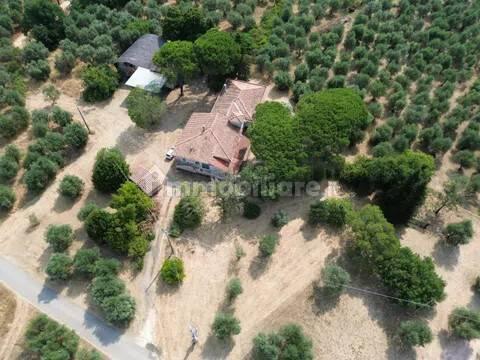 Cascina Sp48, Casciana Terme, Casciana Terme Lari