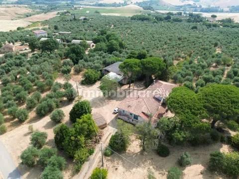 Cascina Sp48, Casciana Terme, Casciana Terme Lari — foto 23 di 28