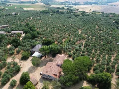 Cascina Sp48, Casciana Terme, Casciana Terme Lari — foto 2 di 28