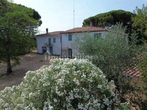 Cascina Sp48, Casciana Terme, Casciana Terme Lari — foto 5 di 28