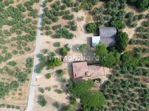 Cascina Sp48, Casciana Terme, Casciana Terme Lari — foto 14 di 28