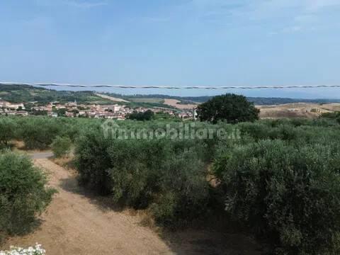 Cascina Sp48, Casciana Terme, Casciana Terme Lari — foto 27 di 28