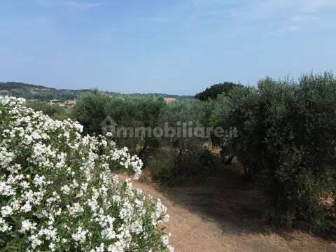 Cascina Sp48, Casciana Terme, Casciana Terme Lari — foto 7 di 28