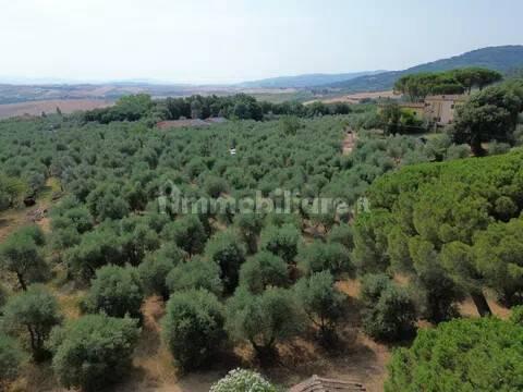 Cascina Sp48, Casciana Terme, Casciana Terme Lari — foto 18 di 28