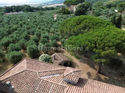 Cascina Sp48, Casciana Terme, Casciana Terme Lari — foto 28 di 28