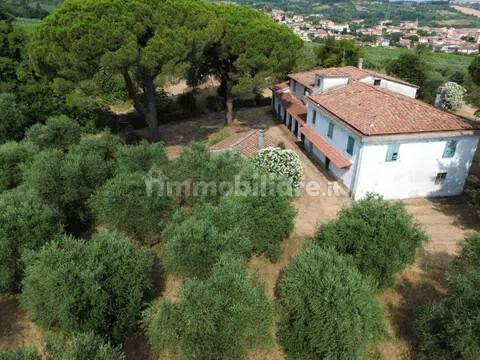 Cascina Sp48, Casciana Terme, Casciana Terme Lari — foto 17 di 28