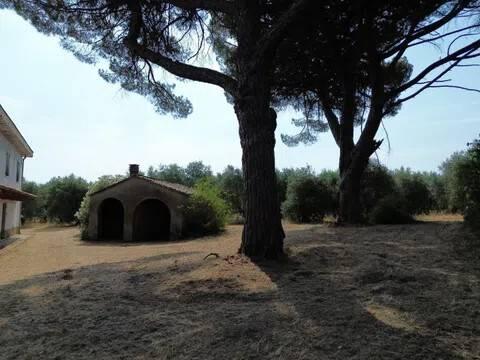 Cascina Sp48, Casciana Terme, Casciana Terme Lari — foto 25 di 28