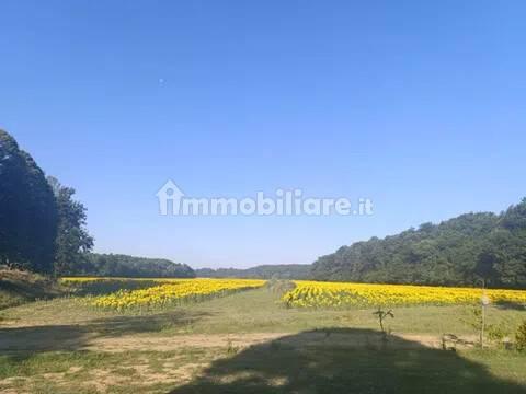 Appartamento via Valdinievole Sud Nn, Calcinaia — foto 6 di 19