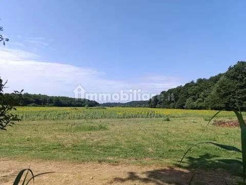 Appartamento via Valdinievole Sud Nn, Calcinaia — foto 12 di 19