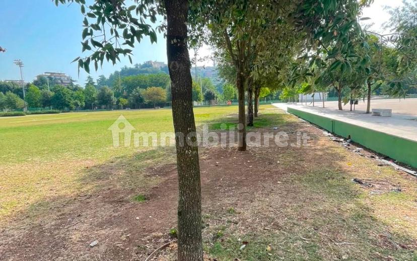 Trilocale piazza Caduti di via Fani, Tribunale, Frosinone — foto 8 di 31