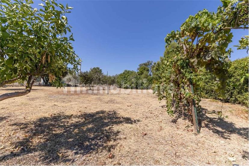 Villa unifamiliare SC spagnoli, Sarroch — foto 23 di 40