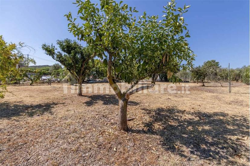 Villa unifamiliare SC spagnoli, Sarroch — foto 14 di 40