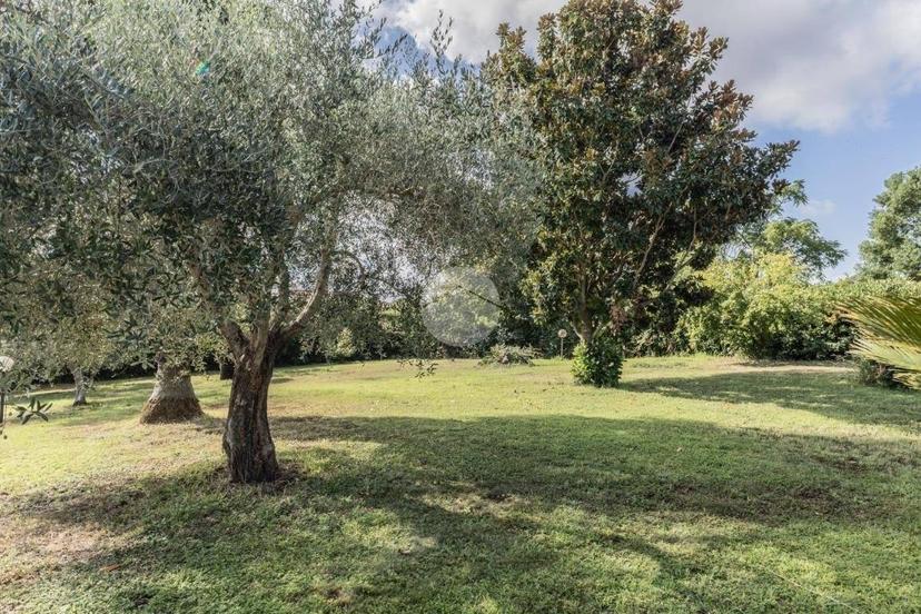 Trilocale via Giuseppe Belloni 32, Monterosi — foto 19 di 25