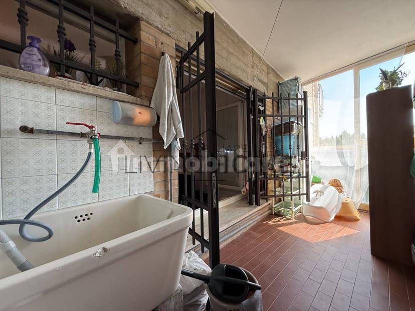 Quadrilocale viale Matteotti 476, Ippodromo, Cesena — foto 14 di 21