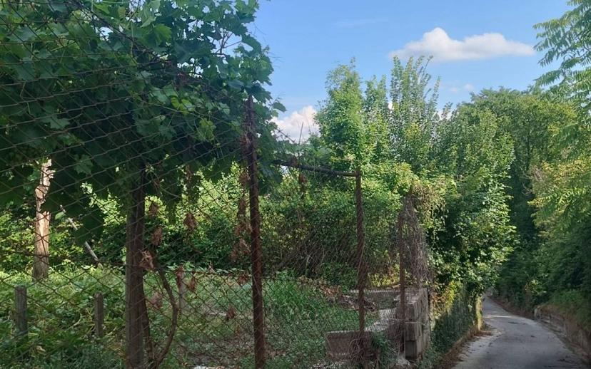 Terratetto unifamiliare via Taverna Orneta, Capriglia Irpina — foto 6 di 7