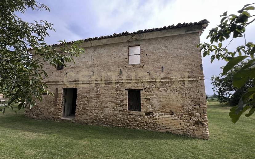 Casale Contrada Scannella Inferiore snc, Loreto Aprutino — foto 19 di 75