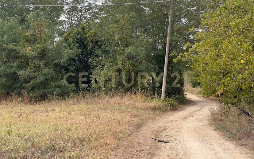 Casale Contrada Scannella Inferiore snc, Loreto Aprutino — foto 61 di 75