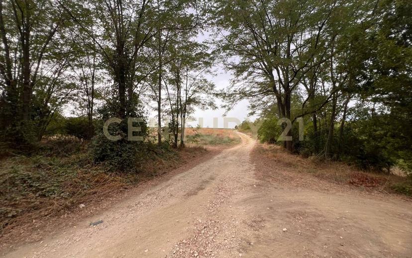 Casale Contrada Scannella Inferiore snc, Loreto Aprutino — foto 58 di 75