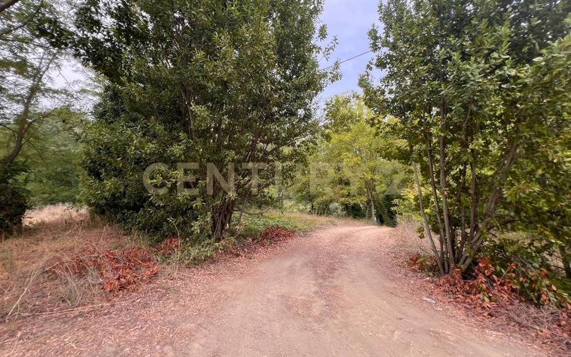 Casale Contrada Scannella Inferiore snc, Loreto Aprutino — foto 69 di 75