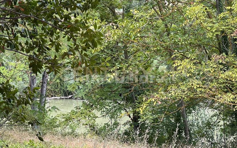 Casale Contrada Scannella Inferiore snc, Loreto Aprutino — foto 41 di 75