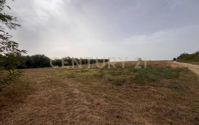 Casale Contrada Scannella Inferiore snc, Loreto Aprutino — foto 30 di 75