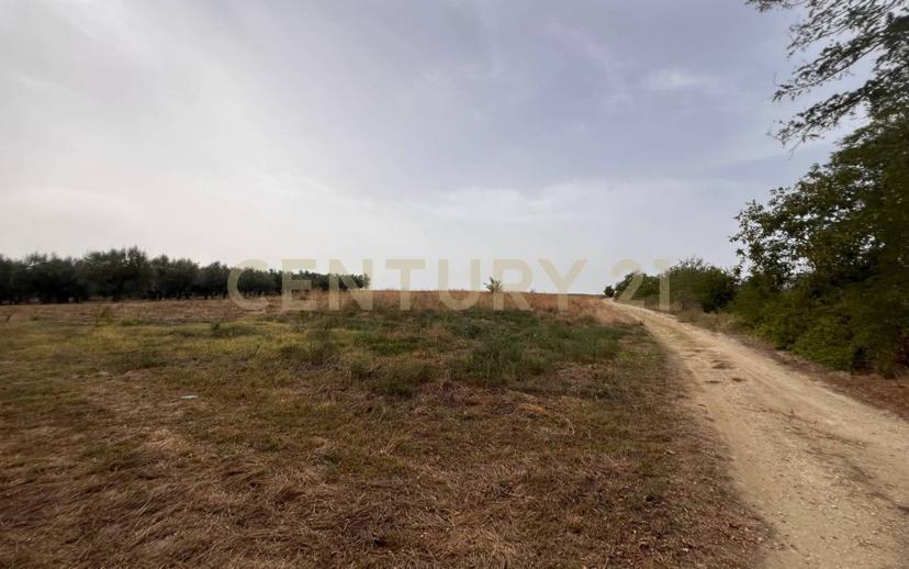 Casale Contrada Scannella Inferiore snc, Loreto Aprutino — foto 36 di 75