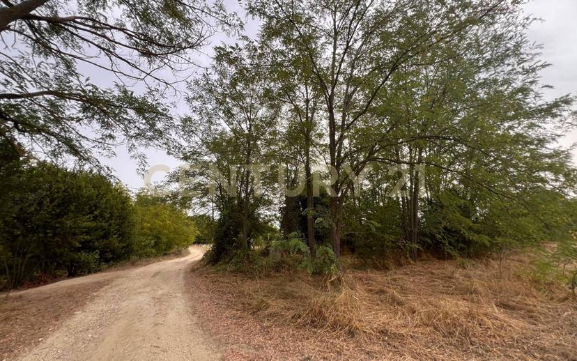 Casale Contrada Scannella Inferiore snc, Loreto Aprutino — foto 43 di 75