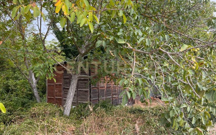 Casale Contrada Scannella Inferiore snc, Loreto Aprutino — foto 12 di 75