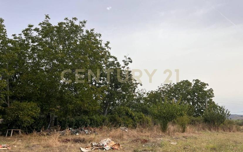 Casale Contrada Scannella Inferiore snc, Loreto Aprutino — foto 55 di 75