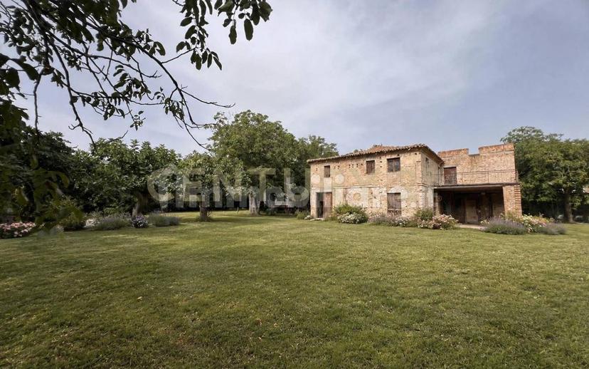 Casale Contrada Scannella Inferiore snc, Loreto Aprutino — foto 62 di 75