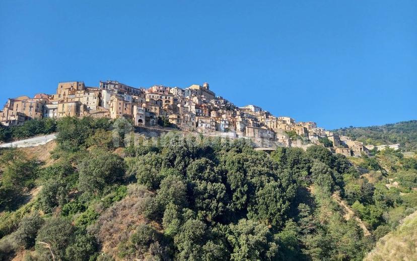 Trilocale via Castello 6, Centro, Badolato — foto 12 di 23