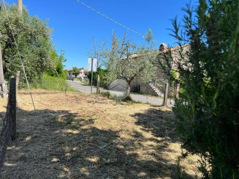Terratetto plurifamiliare Vocabolo la corte, Calvi dell'Umbria — foto 15 di 24