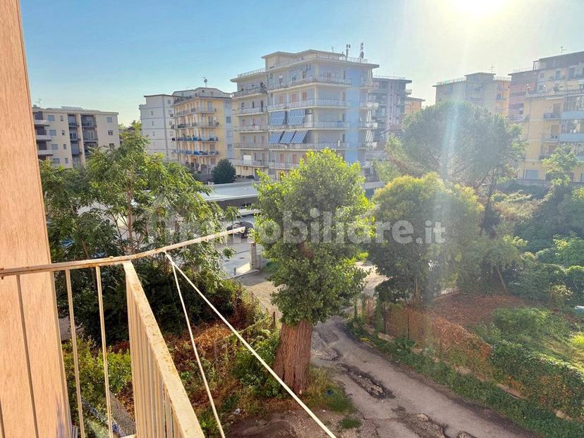 Quadrilocale via Francesco Solimena, Sala, Mellusi, Benevento — foto 9 di 13