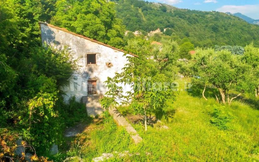 Casale Contrada Santa Margherita, Rivello — foto 7 di 17