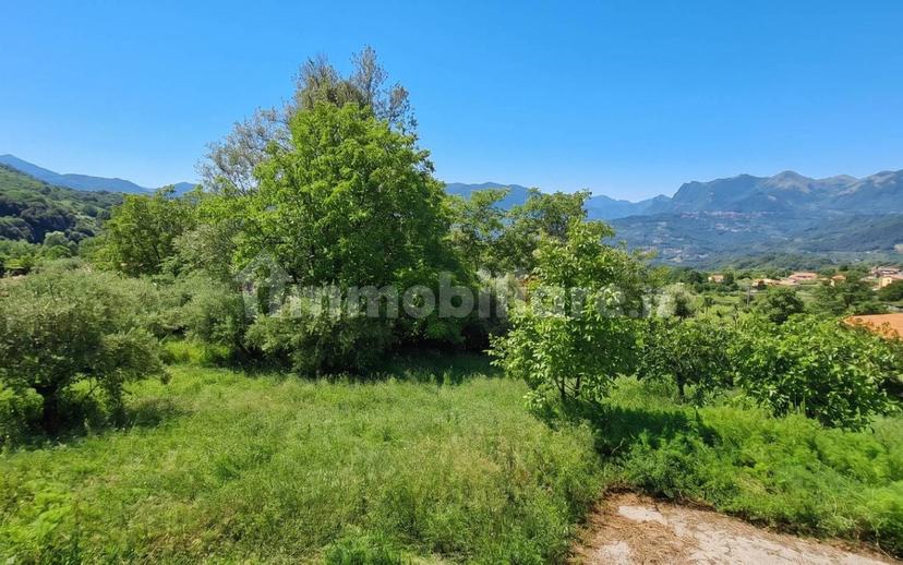 Casale Contrada Santa Margherita, Rivello — foto 2 di 17