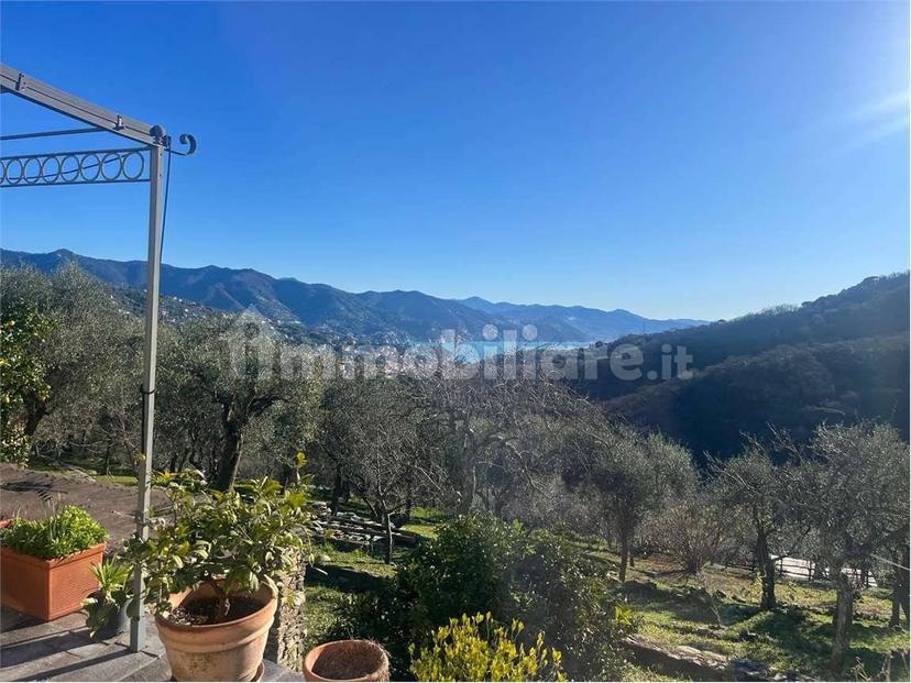 Villa unifamiliare via Pero, San Lorenzo Della Costa, Santa Margherita Ligure — foto 3 di 31
