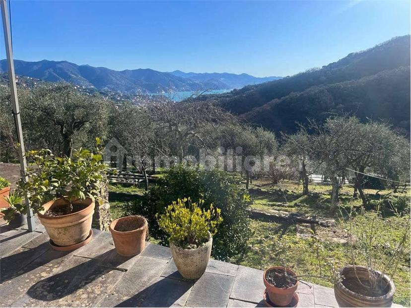 Villa unifamiliare via Pero, San Lorenzo Della Costa, Santa Margherita Ligure — foto 21 di 31