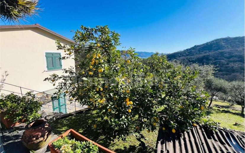 Villa unifamiliare via Pero, San Lorenzo Della Costa, Santa Margherita Ligure — foto 17 di 31