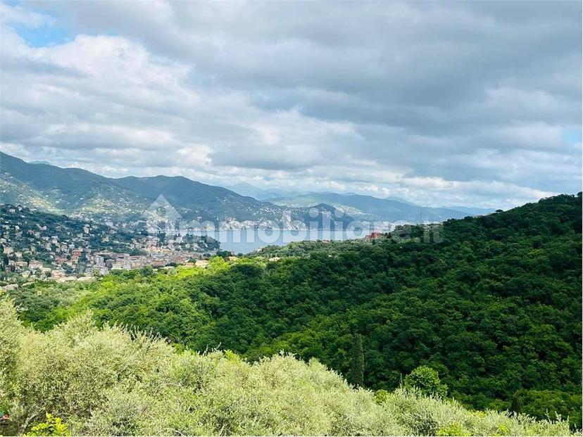 Villa unifamiliare via Pero, San Lorenzo Della Costa, Santa Margherita Ligure — foto 9 di 31