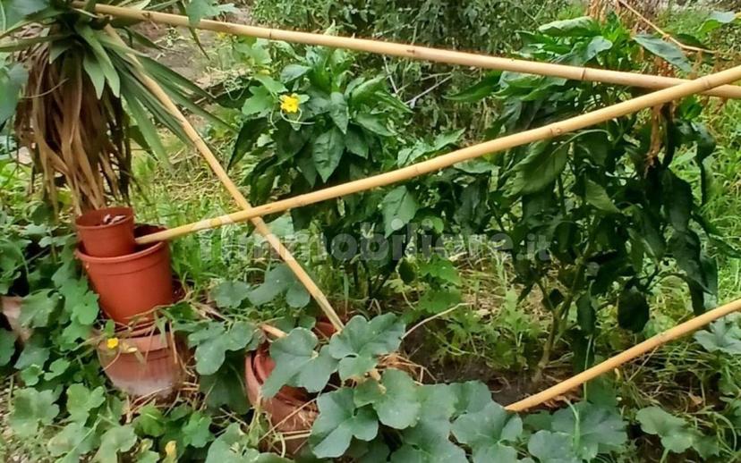 Trilocale ottimo stato, piano rialzato, Mirabello, Reggio Emilia — foto 17 di 20