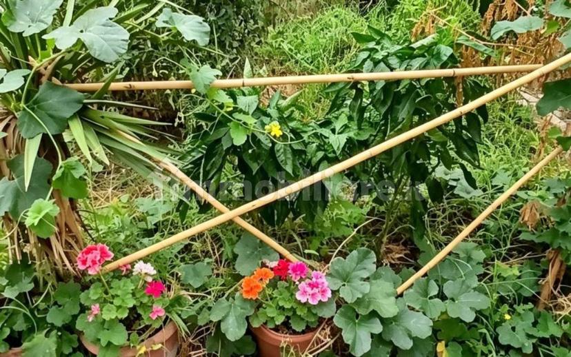 Trilocale ottimo stato, piano rialzato, Mirabello, Reggio Emilia — foto 12 di 20