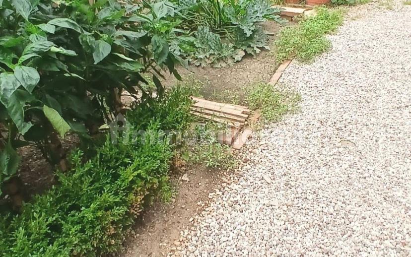 Trilocale ottimo stato, piano rialzato, Mirabello, Reggio Emilia — foto 15 di 20