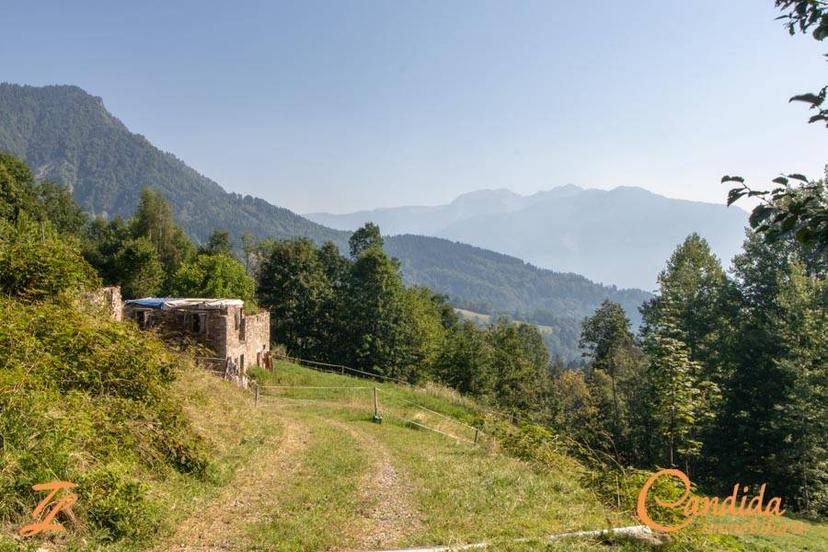 Rustico Località Pani 5, Socchieve