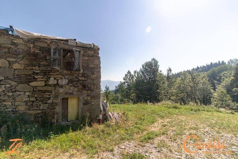 Rustico Località Pani 5, Socchieve — foto 5 di 13