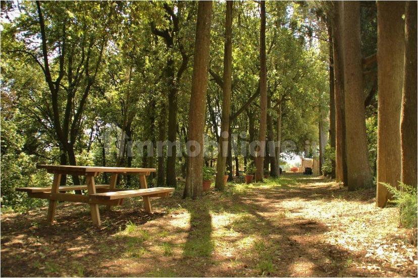 Bilocale Località Montelonti 12, Poggibonsi — foto 14 di 20