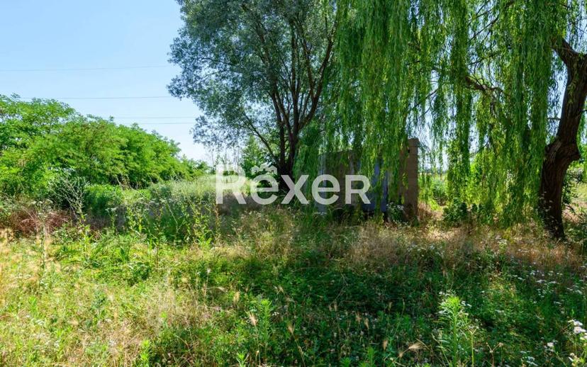 Terratetto unifamiliare via Barbato, 25, Campocroce, Mirano — foto 2 di 30