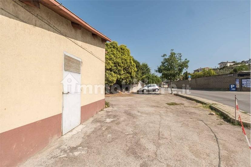 Appartamento da ristrutturare, Centro, Collecorvino — foto 46 di 48